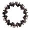  Rezerva lant disc drujba 88mm 12 dinti Squire, image 1 
